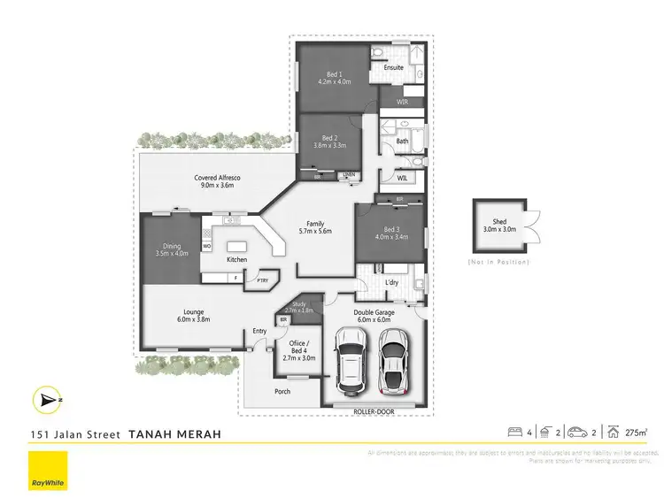 Floorplan of Homely house listing, 151 Jalan Street, Tanah Merah QLD 4128