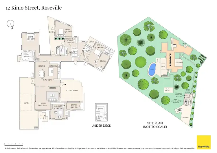 Floorplan of Homely house listing, 12 Kimo Street, Roseville NSW 2069