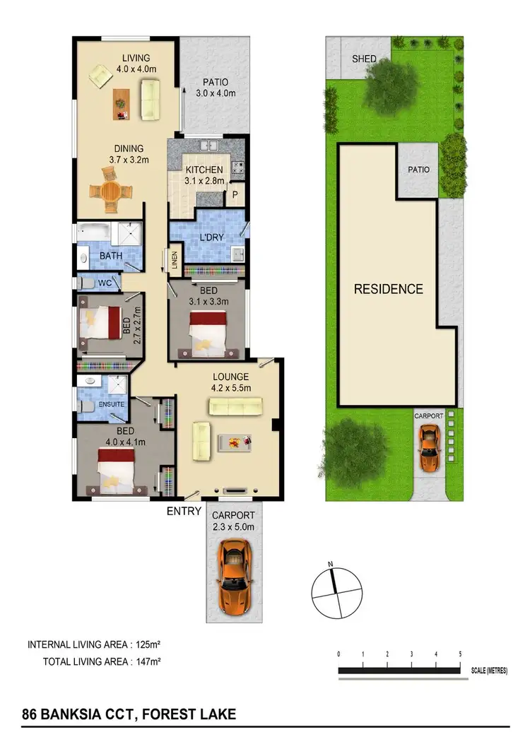 Floorplan of Homely house listing, 86 Banksia Cct, Forest Lake QLD 4078