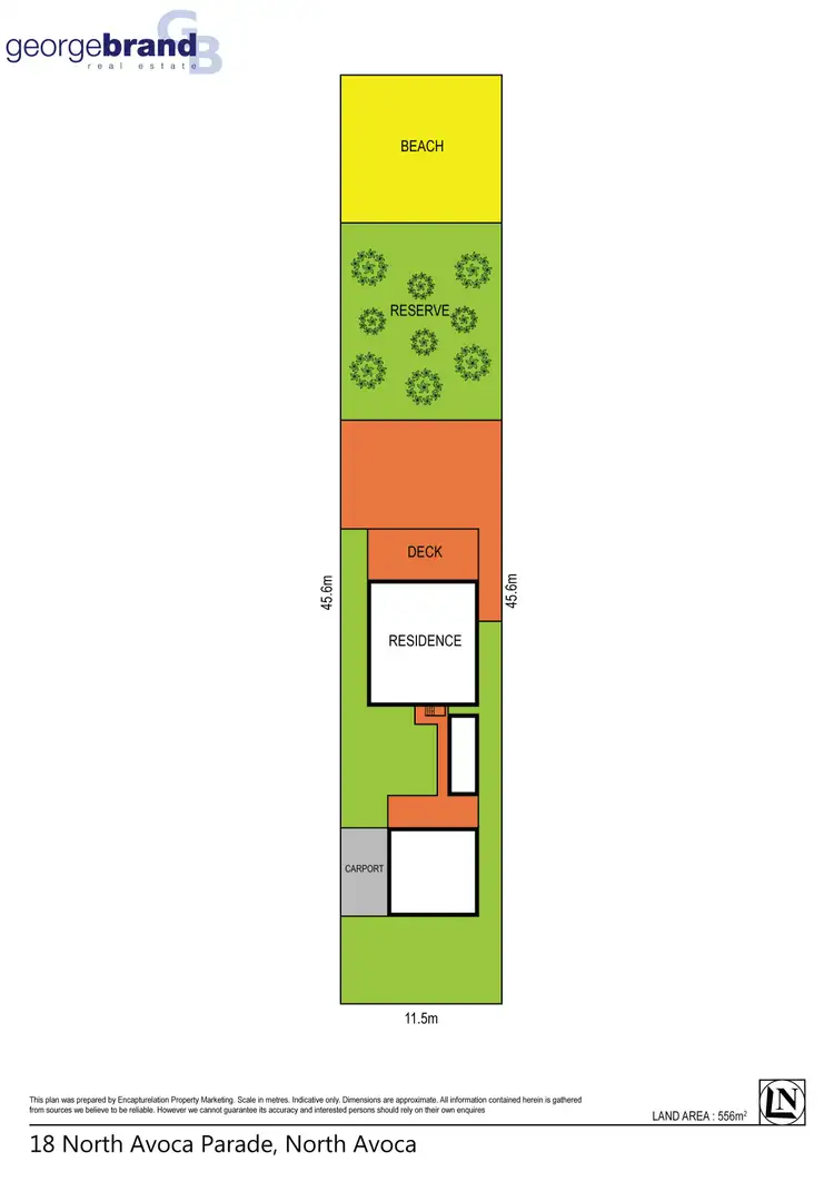 Floorplan of Homely house listing, 18 North Avoca Parade, North Avoca NSW 2260