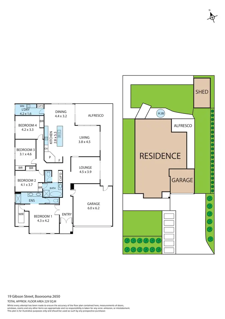 Floorplan of Homely house listing, 19 Gibson Street, Boorooma NSW 2650