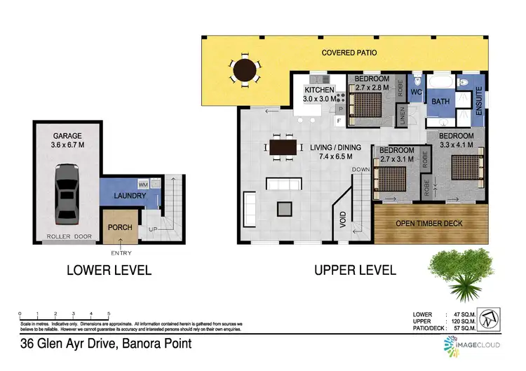 Floorplan of Homely house listing, 36 Glen Ayr Drive, Banora Point NSW 2486
