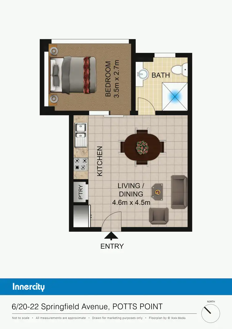 Floorplan of Homely studio listing, 6/20-22 Springfield Ave, Potts Point NSW 2011