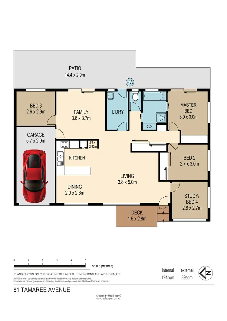 Floorplan of Homely house listing, 81 Tamaree Avenue, Wynnum QLD 4178