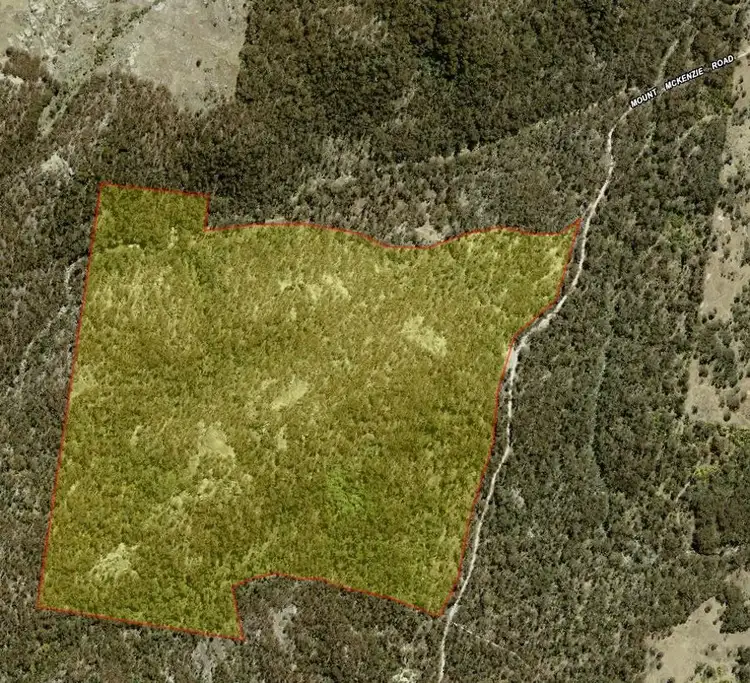 Floorplan of Homely rural property listing, 1330 Mount McKenzie Road, Tenterfield NSW 2372