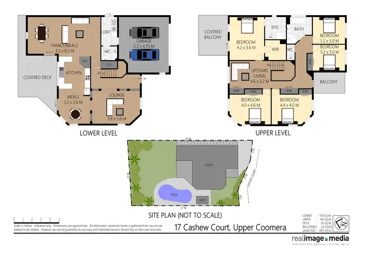 Floorplan of Homely house listing, 17 Cashew Court, Upper Coomera QLD 4209