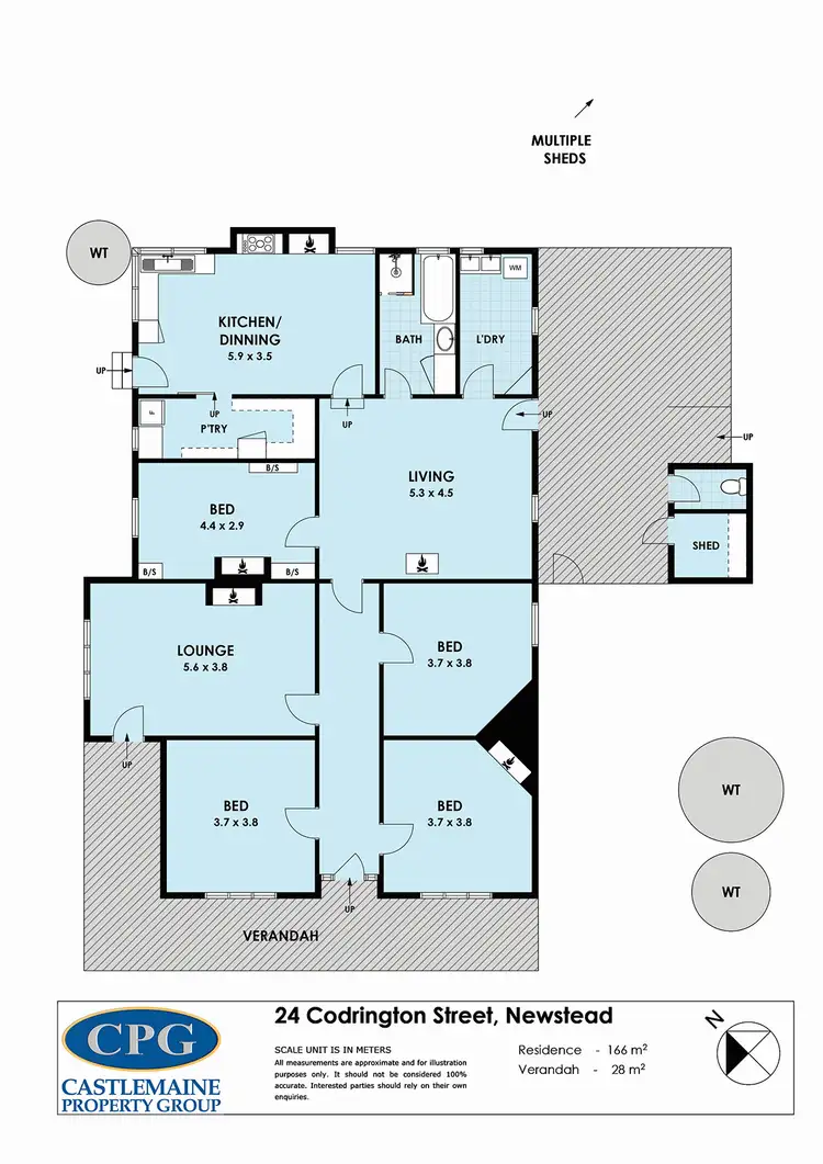 Floorplan of Homely house listing, 24 Codrington Street, Newstead VIC 3462