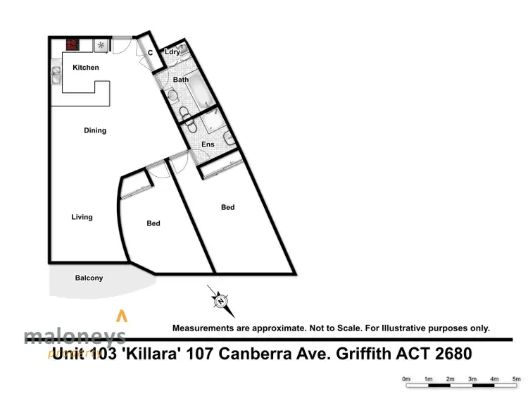 Floorplan of Homely apartment listing, 103/107 Canberra Avenue, Griffith ACT 2603