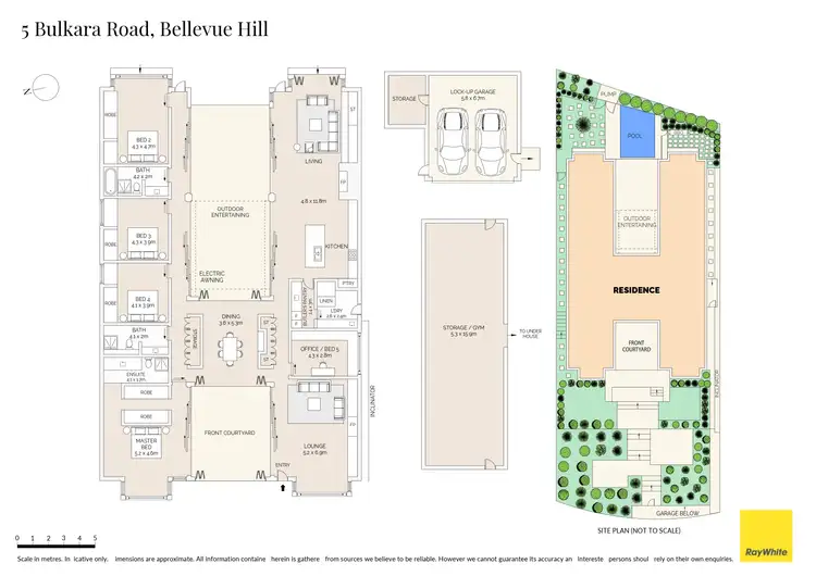 Floorplan of Homely house listing, 5 Bulkara Road, Bellevue Hill NSW 2023
