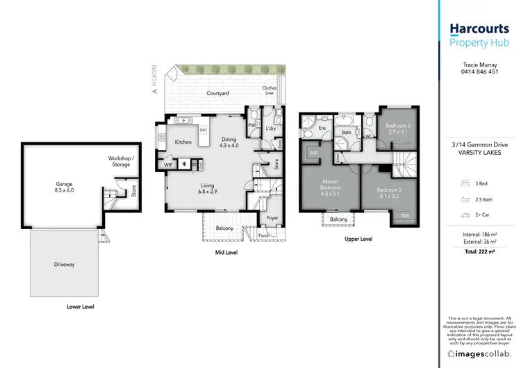 Floorplan of Homely unit listing, 3/14 Gammon Drive, Varsity Lakes QLD 4227