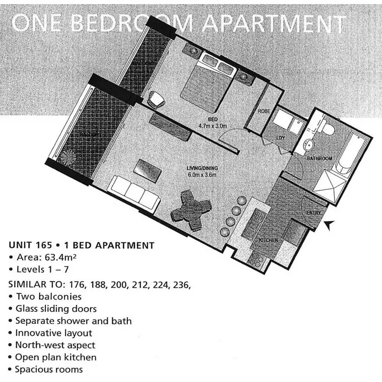 Floorplan of Homely apartment listing, 224/806 Bourke Street, Waterloo NSW 2017