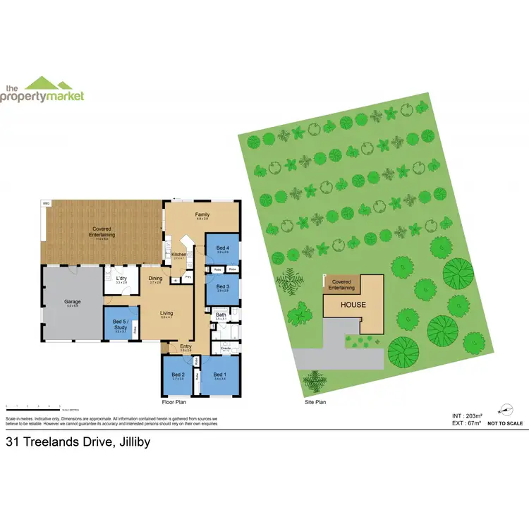 Floorplan of Homely rural property listing, 31 Treelands Drive, Jilliby NSW 2259