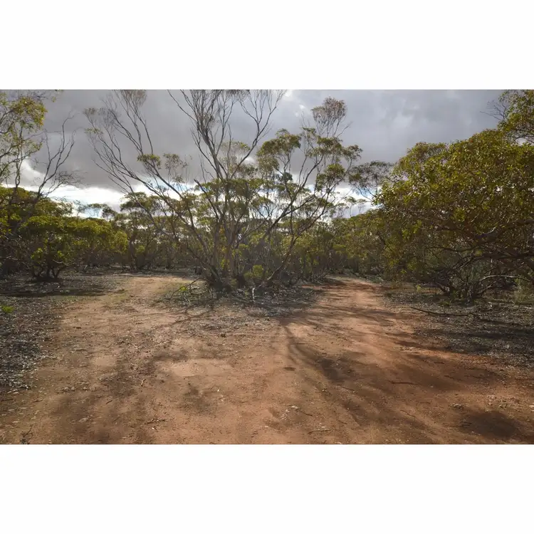 Floorplan of Homely rural property listing, 19 Goondooloo Road, Bowhill SA 5238