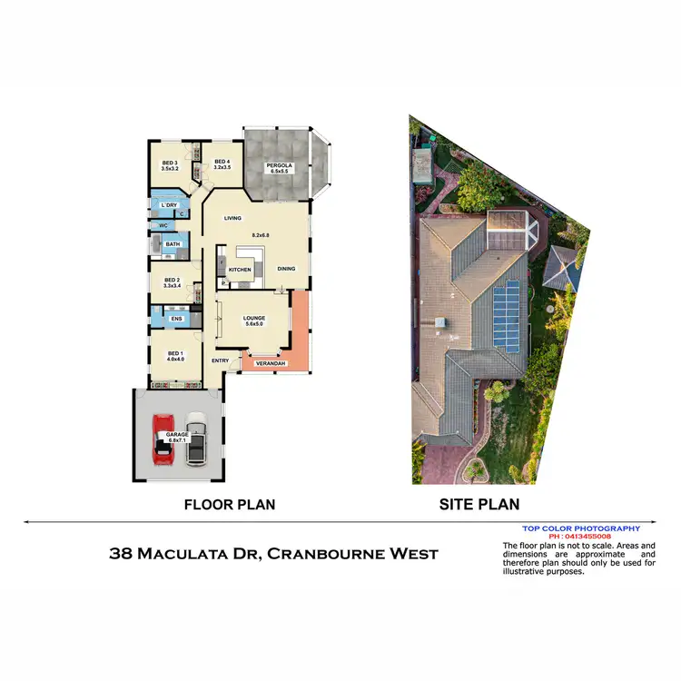 Floorplan of Homely house listing, 38 Maculata Drive, Cranbourne West VIC 3977