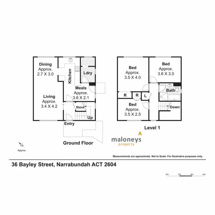 Floorplan of Homely semi-detached listing, 36 Bayley Street, Narrabundah ACT 2604