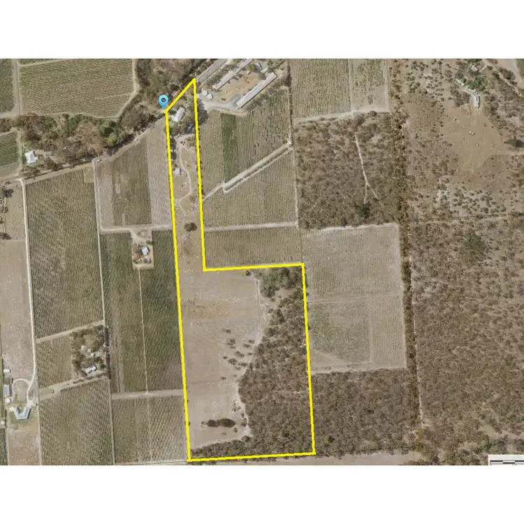 Floorplan of Homely rural property listing, 57 Douglas Gully Road, Mclaren Flat SA 5171