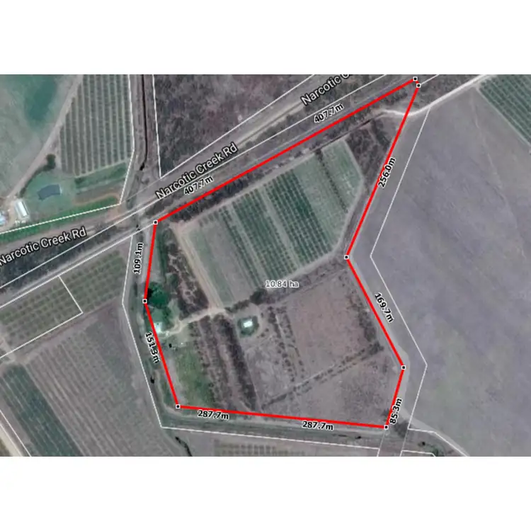 Floorplan of Homely rural property listing, 1098 Chewko Road, Mareeba QLD 4880