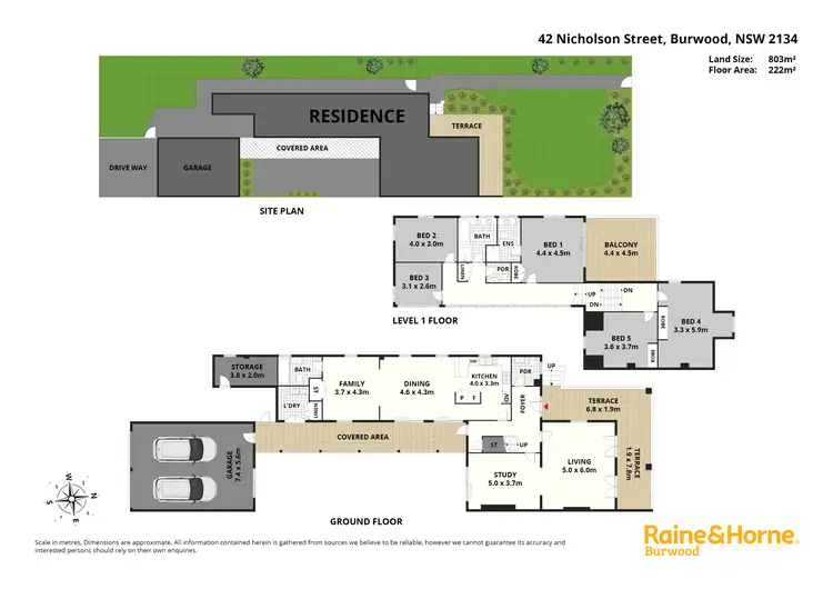 Floorplan of Homely house listing, 42 Nicholson Street, Burwood NSW 2134