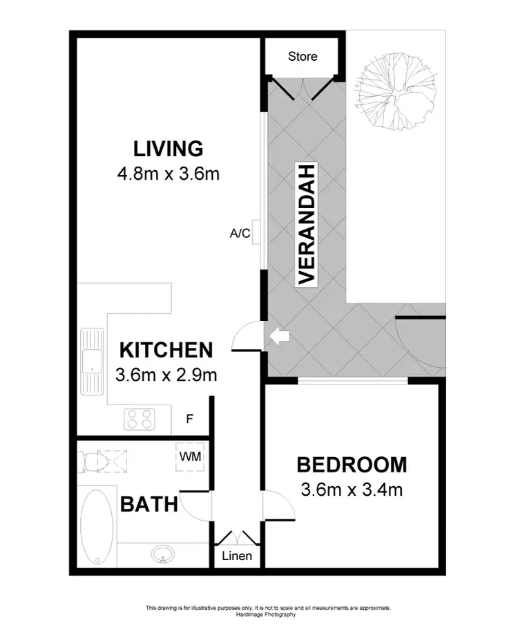 Floorplan of Homely unit listing, 17/100 Wills Street, Peterhead SA 5016