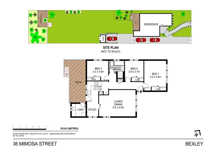 Floorplan of Homely house listing, 36 Mimosa Street, Bexley NSW 2207