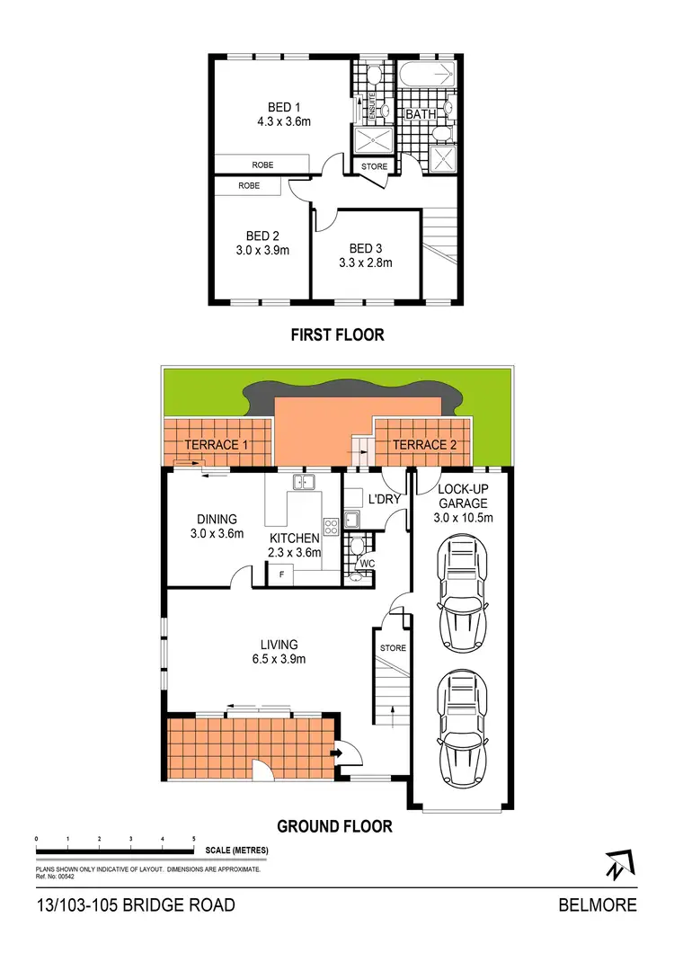 Floorplan of Homely townhouse listing, 13/101-105 Bridge Road, Belmore NSW 2192