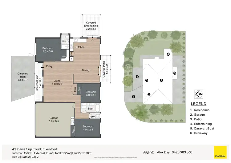 Floorplan of Homely house listing, 41 Davis Cup Court, Oxenford QLD 4210