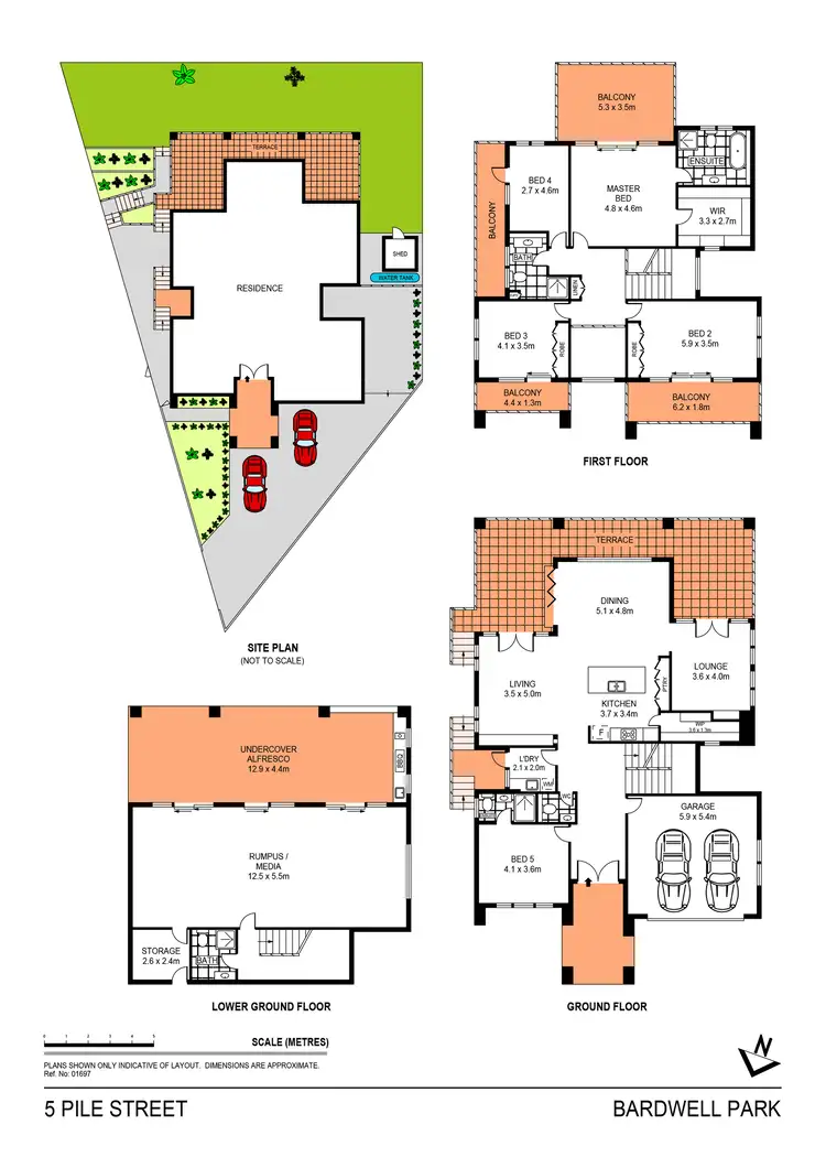 Floorplan of Homely house listing, 5 Pile Street, Bardwell Park NSW 2207