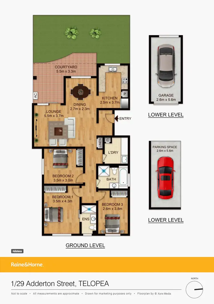 Floorplan of Homely apartment listing, 1/29 Adderton Road, Telopea NSW 2117