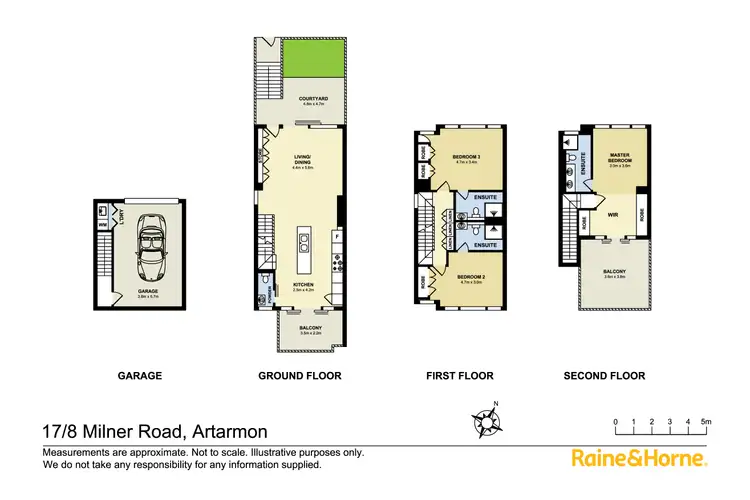Floorplan of Homely townhouse listing, 17/8 Milner Road, Artarmon NSW 2064