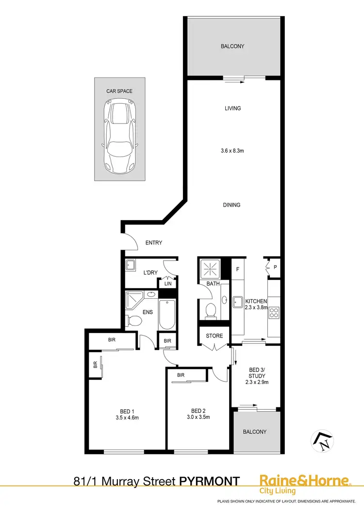 Floorplan of Homely apartment listing, 81/1 Murray Street, Pyrmont NSW 2009