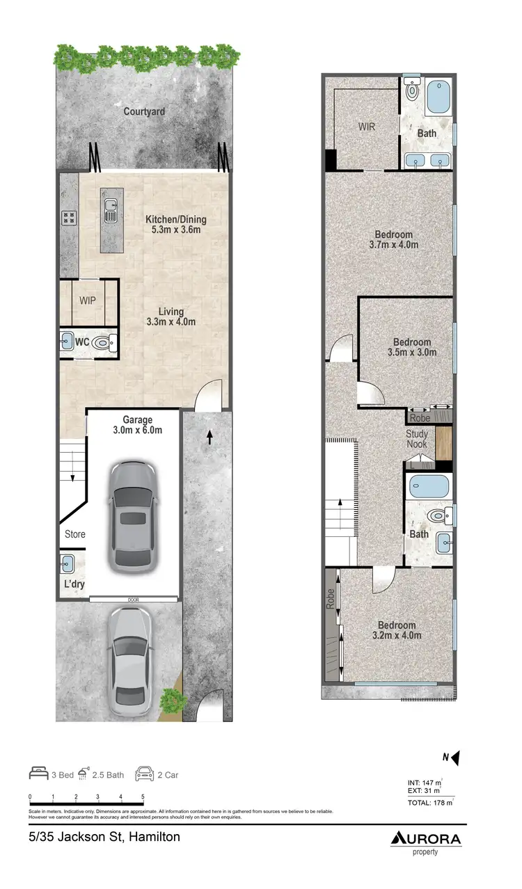 Floorplan of Homely townhouse listing, 5/35 Jackson Street, Hamilton QLD 4007