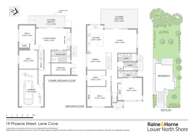 Floorplan of Homely house listing, 19 Phoenix Street, Lane Cove NSW 2066