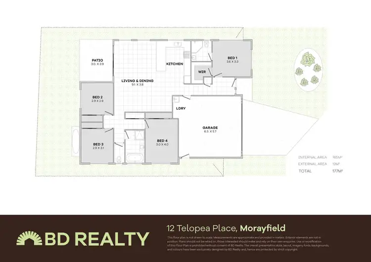 Floorplan of Homely house listing, 12 Telopea Place, Morayfield QLD 4506