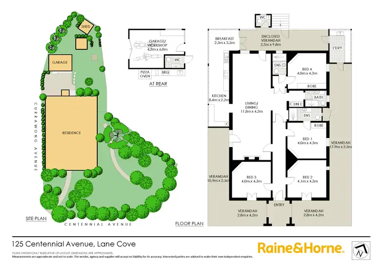 Floorplan of Homely house listing, 123-125 Centennial Avenue, Lane Cove NSW 2066