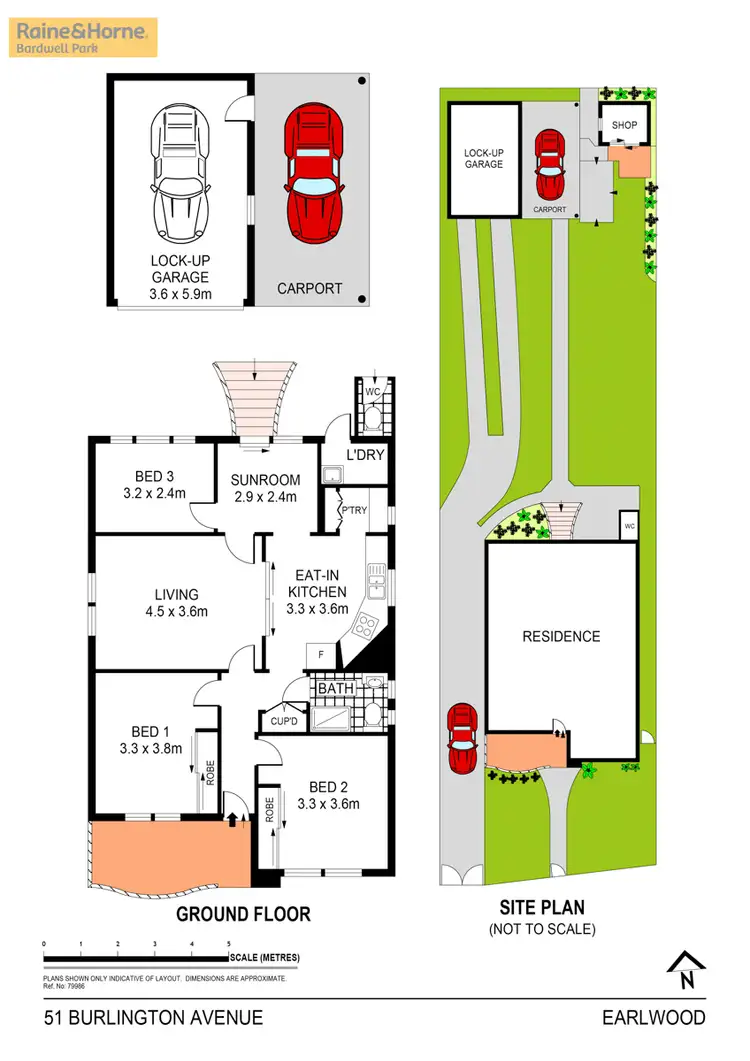 Floorplan of Homely house listing, 51 Burlington Avenue, Earlwood NSW 2206