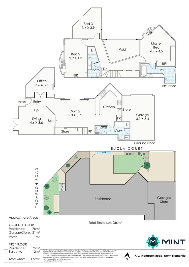 Floorplan of Homely house listing, 77C Thompson Road, North Fremantle WA 6159