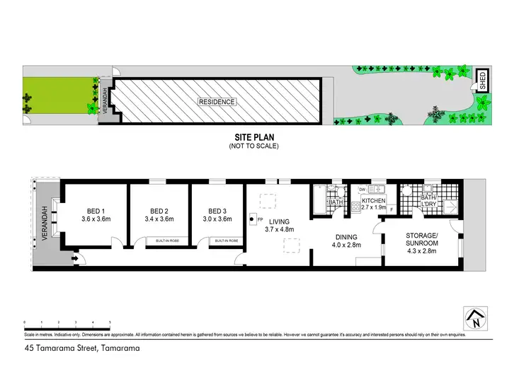 Floorplan of Homely house listing, 45 Tamarama Street, Tamarama NSW 2026