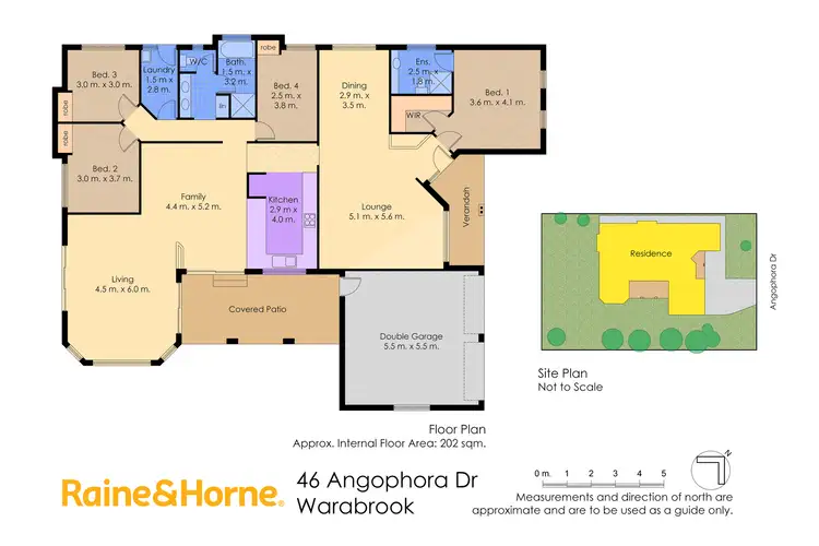 Floorplan of Homely house listing, 46 Angophora Drive, Warabrook NSW 2304
