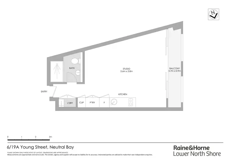 Floorplan of Homely studio listing, 6/19A Young Street, Neutral Bay NSW 2089