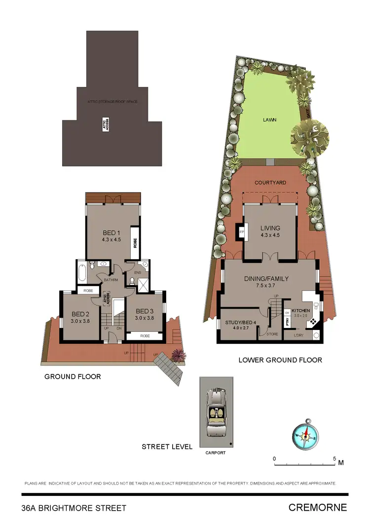 Floorplan of Homely house listing, 36A Brightmore Street, Cremorne NSW 2090