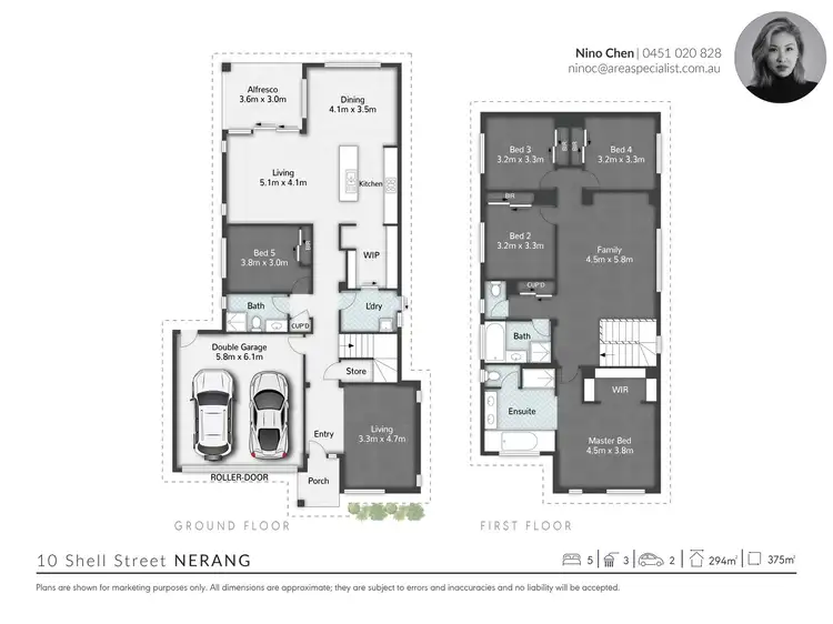 Floorplan of Homely house listing, 10 Shell Street, Nerang QLD 4211