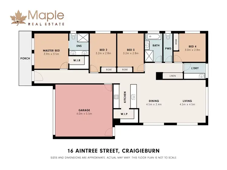 Floorplan of Homely house listing, 16 Aintree Street, Craigieburn VIC 3064