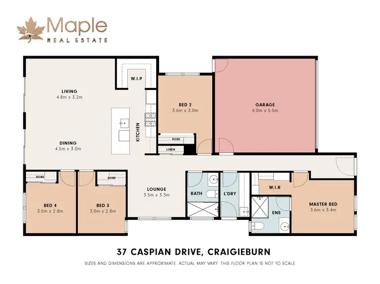 Floorplan of Homely house listing, 37 Caspian Drive, Craigieburn VIC 3064