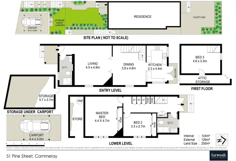 Floorplan of Homely semi-detached listing, 51 Pine Street, Cammeray NSW 2062