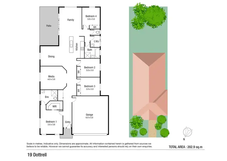 Floorplan of Homely house listing, 19 Dotterel Close, Douglas QLD 4814