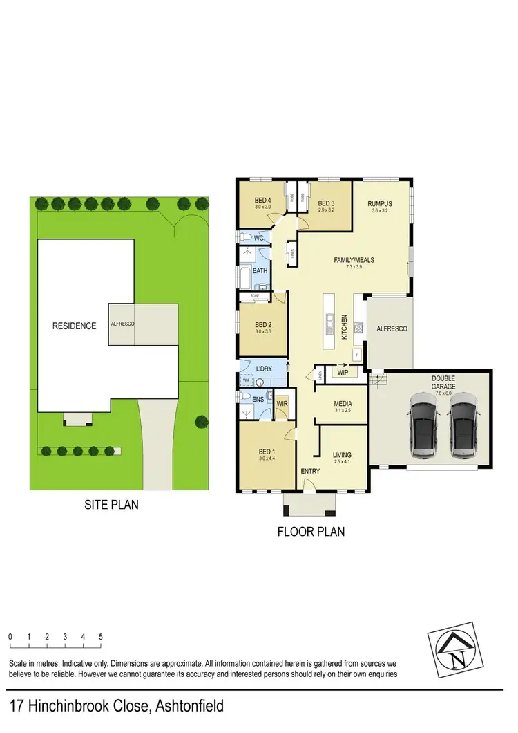 Floorplan of Homely house listing, 17 Hinchinbrook Close, Ashtonfield NSW 2323