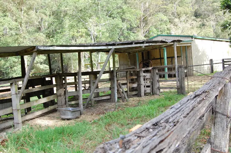 Seventh view of Homely house listing, 1497 Currumbin Creek Road, Currumbin Valley QLD 4223