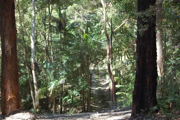 Seventh view of Homely house listing, 446 Tomewin Mountain Road, Currumbin Valley QLD 4223