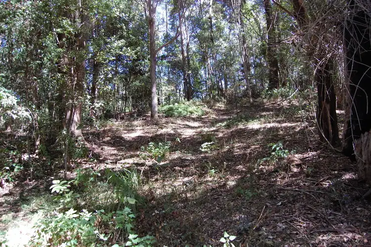 Fourth view of Homely house listing, 446 Tomewin Mountain Road, Currumbin Valley QLD 4223