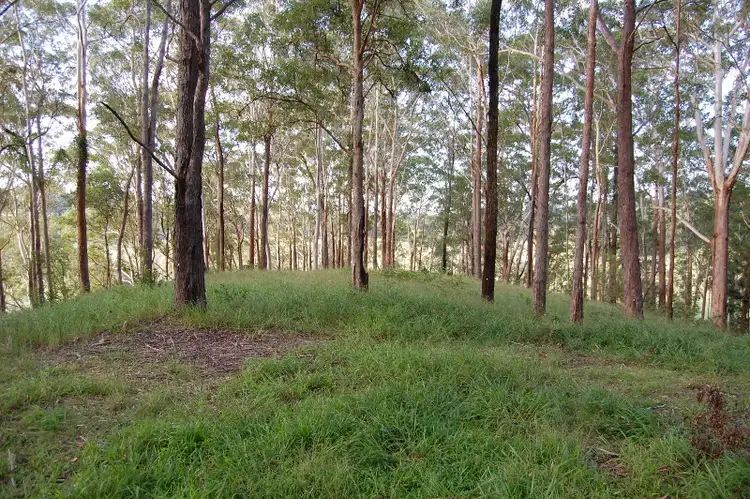 Fifth view of Homely land listing, 64 Piggabeen Road, Currumbin Valley QLD 4223